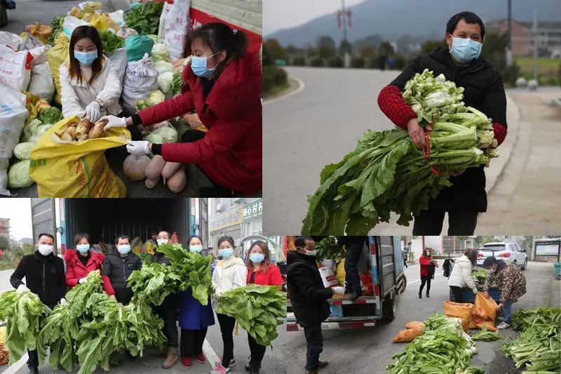 小河农民和志愿者捐赠蔬菜并打包。受访者供图