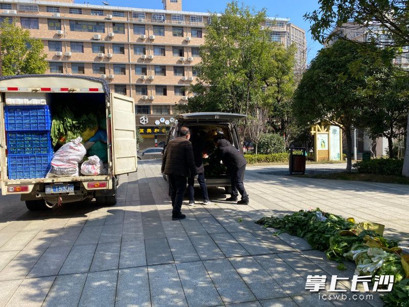 乌石村村民把一箱箱无公害蔬菜捐赠给长沙县湘龙街道办事处。