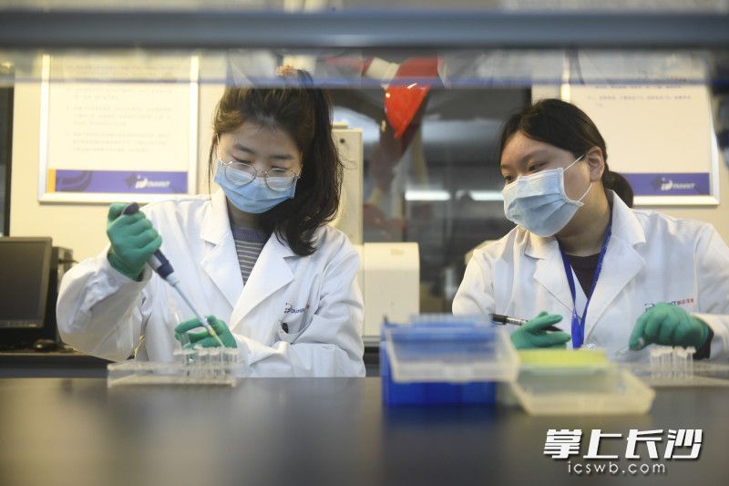 都正生物2日已全线复工，图为该公司技术人员正在进行相关工作。照片均为长沙晚报全媒体记者 黄启晴 摄