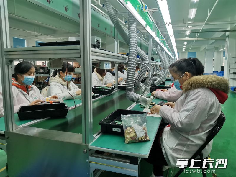 可孚医疗员工们在额温枪生产线上全神贯注地工作。长沙晚报全媒体记者 王斌 摄