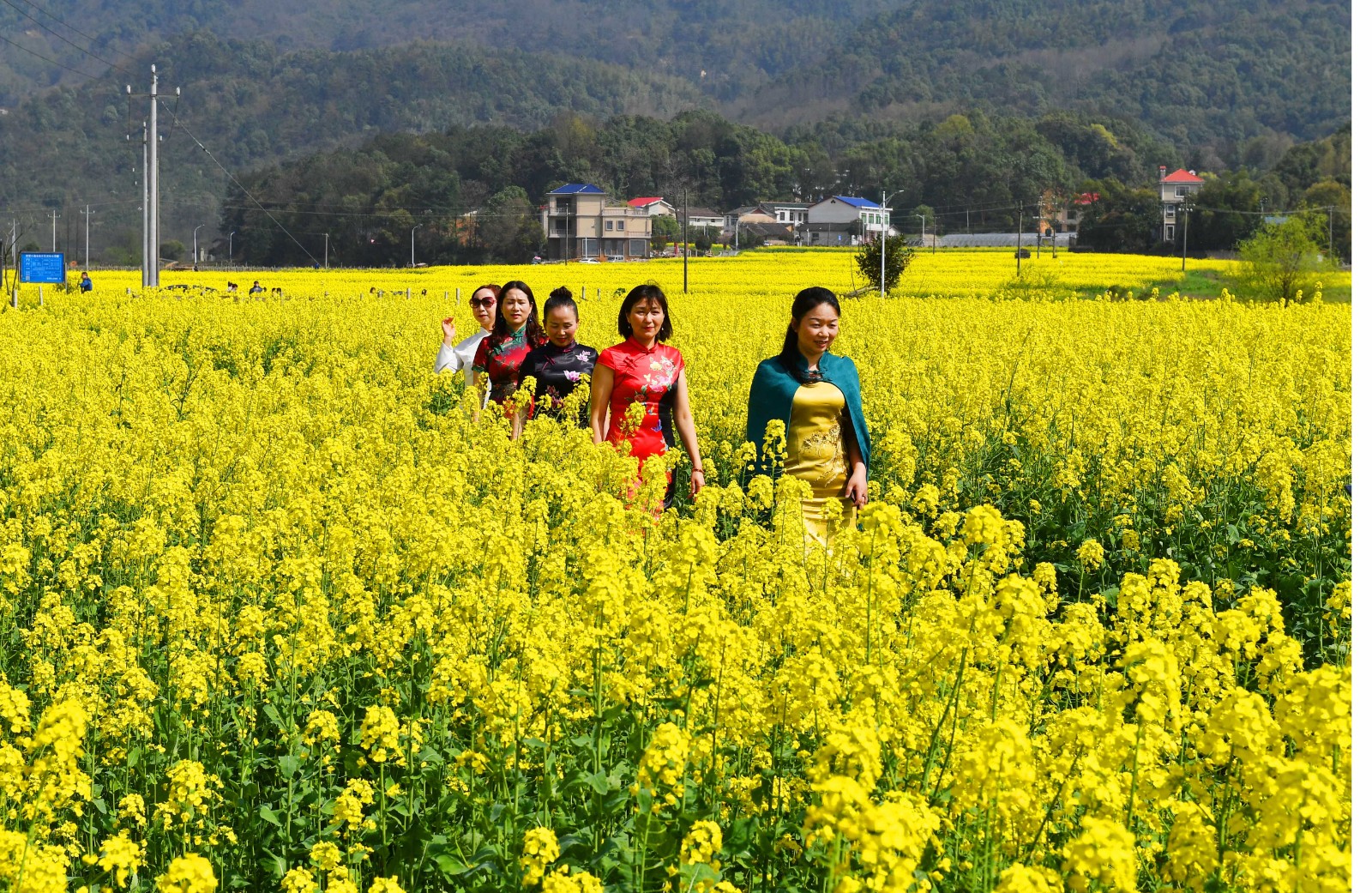 人们趁着美好的春光，呼吸新鲜的空气，一起徜徉在金灿灿油菜花海之中，好不惬意。长沙晚报全媒体记者 周柏平摄