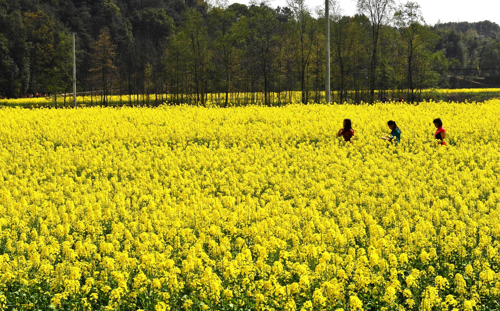长沙晚报全媒体记者 周柏平摄