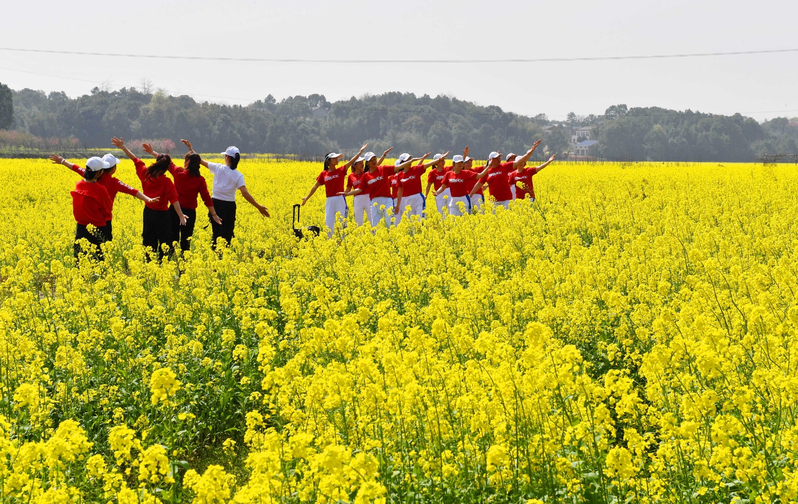 长沙晚报全媒体记者 周柏平摄