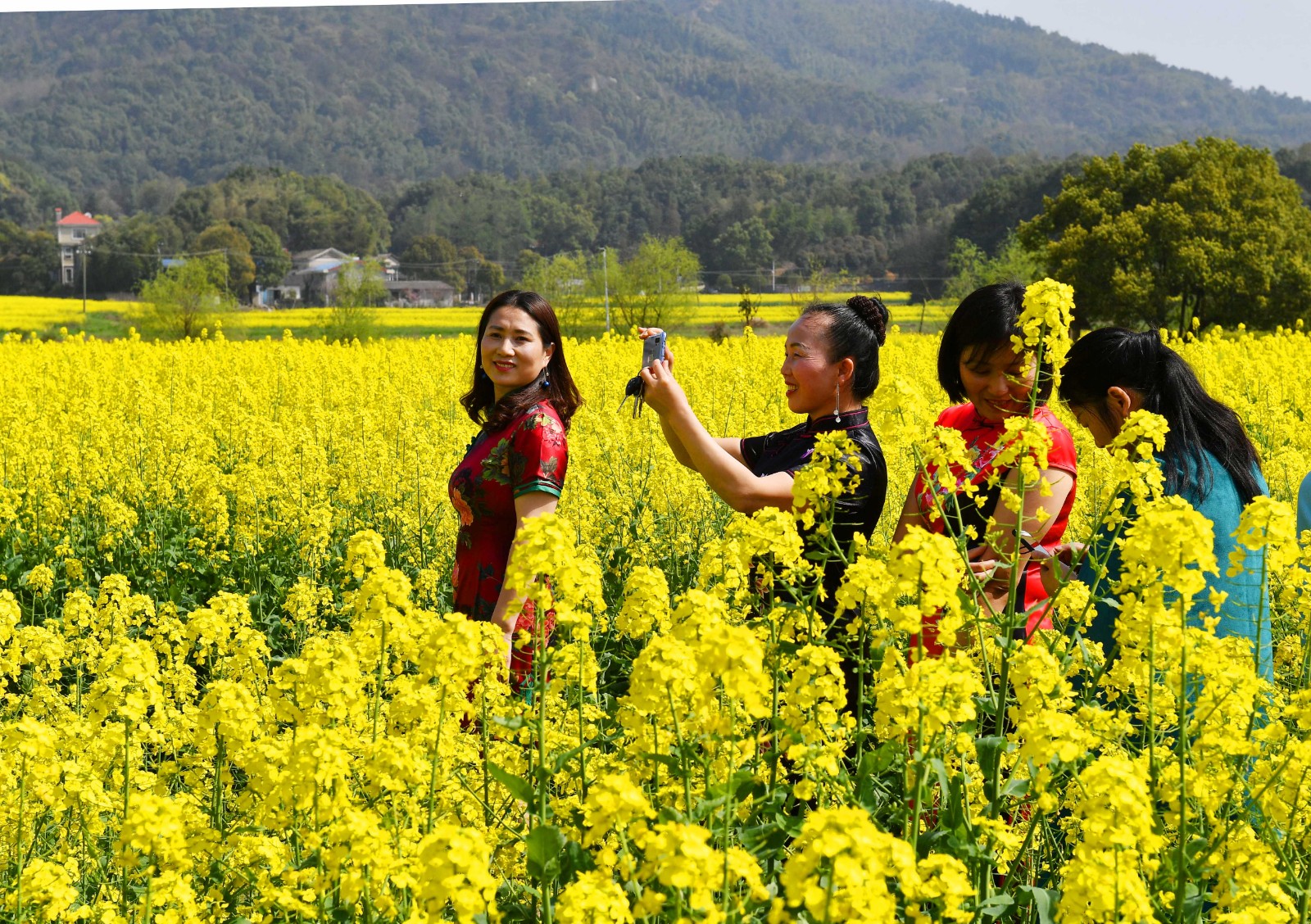 长沙晚报全媒体记者 周柏平摄