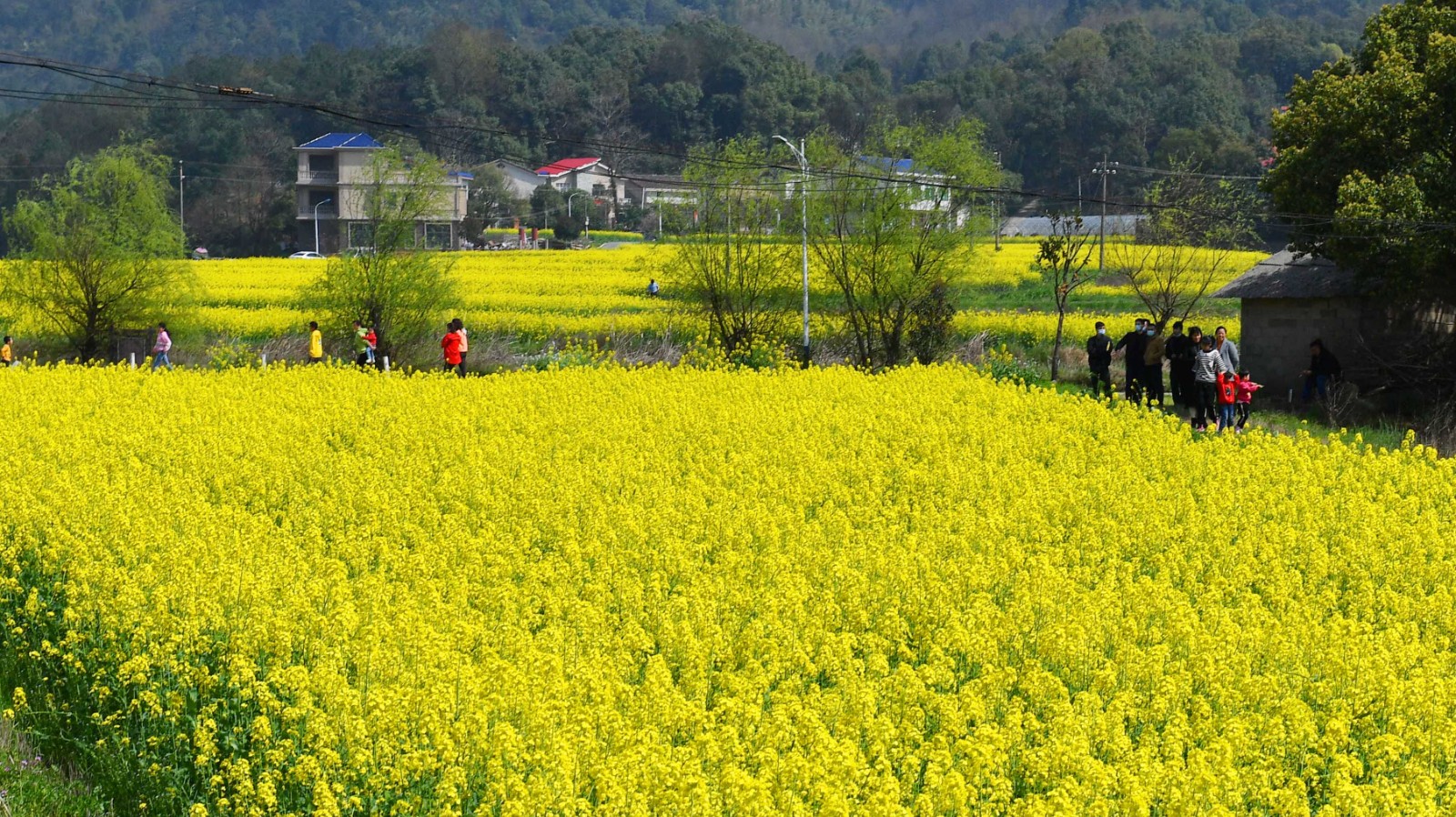 长沙晚报全媒体记者 周柏平摄