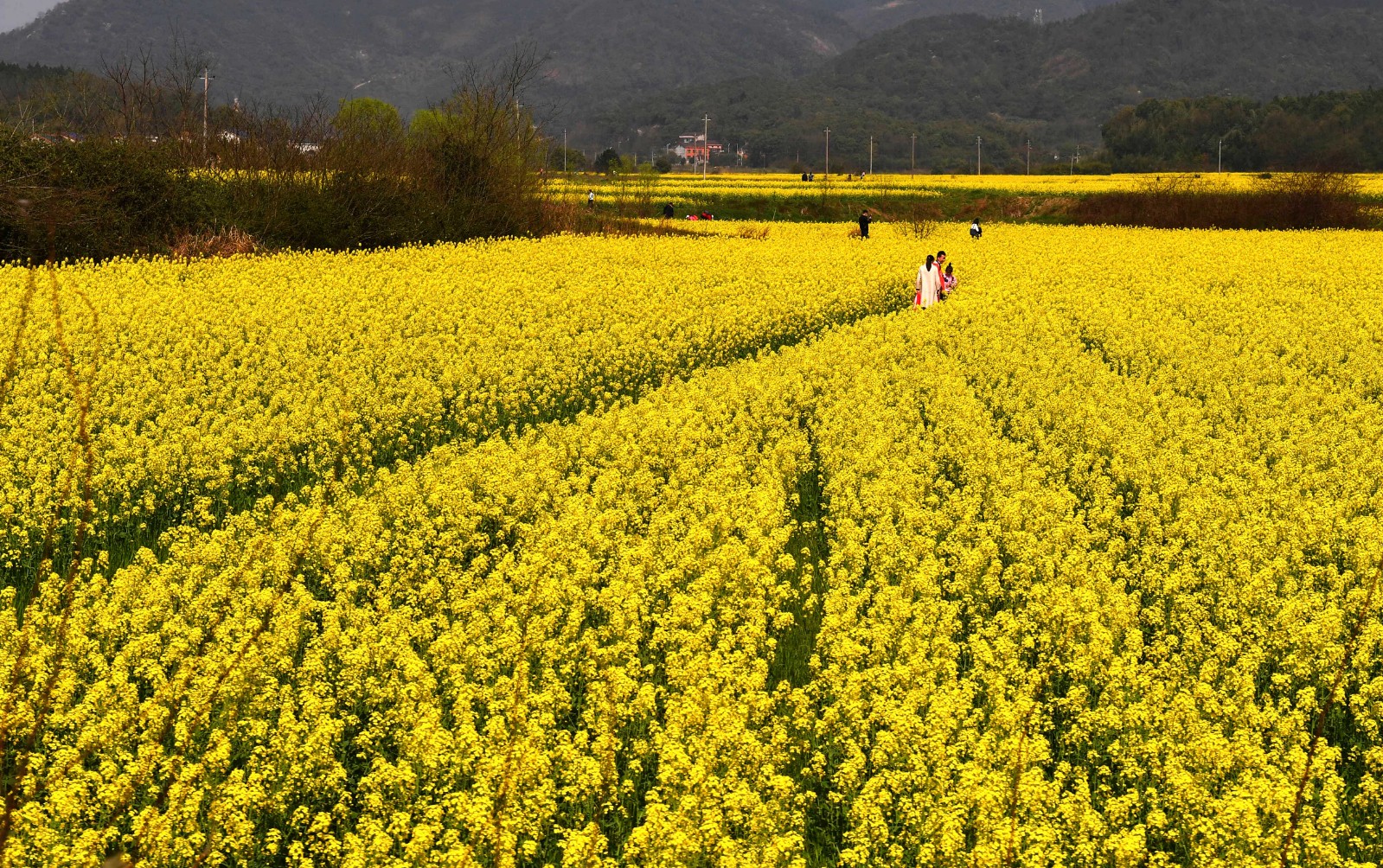 长沙晚报全媒体记者 周柏平摄
