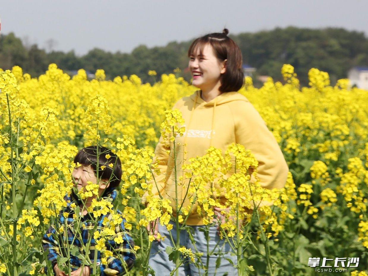 宁乡市民乐享花海。刘静 摄