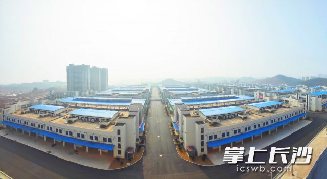 红星农副产品全球采购中心一期基本建设完成，预计今年10月试运营。长沙晚报通讯员 龙洪波 摄