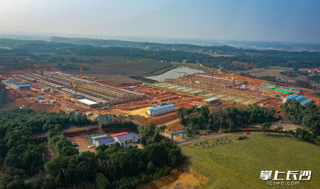 年产5万头花猪的宁乡花猪养殖示范场项目下月完成土建。长沙晚报通讯员 喻恩来供图