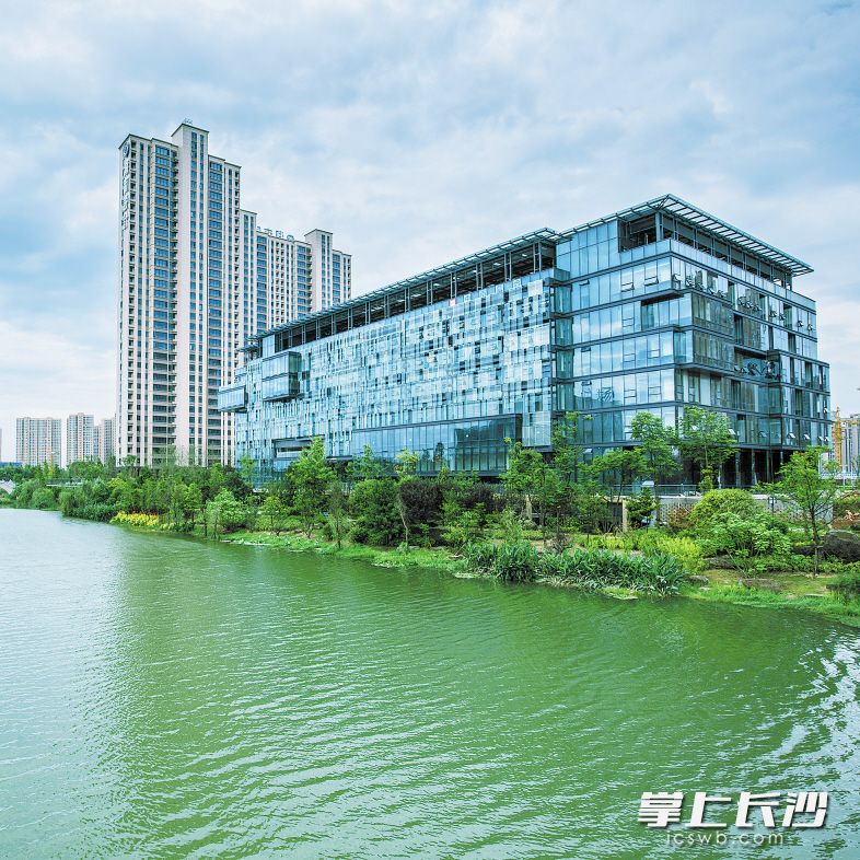 湖南省建筑设计院总部大楼，采用底层架空、建筑中庭、立体绿化等，是湖南首个绿色建筑展示基地。长沙晚报通讯员 尹峰 摄