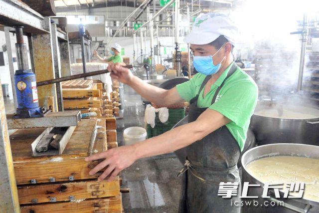 繁忙的长沙市利利平食品有限公司豆制品生产车间一角。