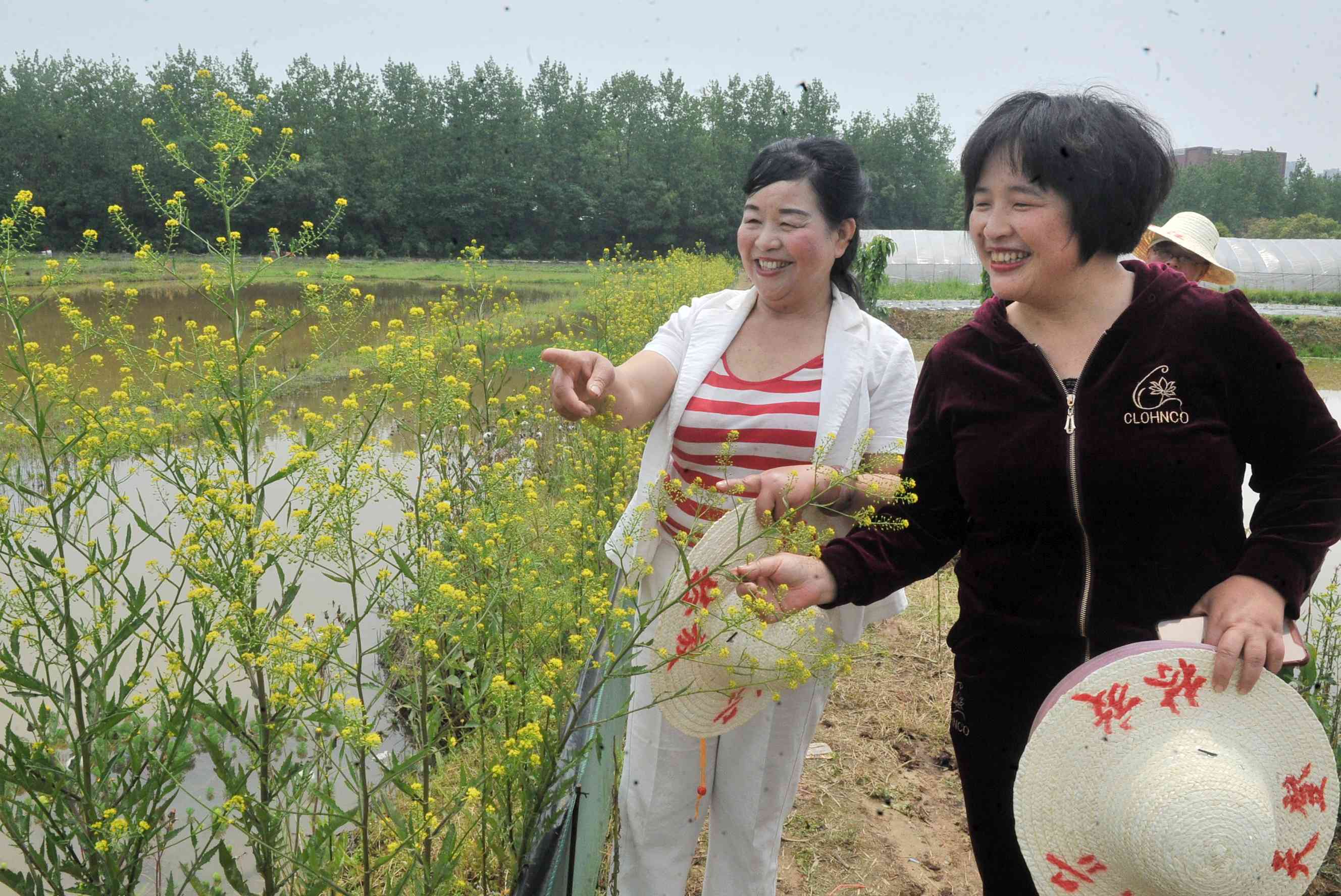 老一辈企业家艰苦创业，女海归创二代“弃商种田”。图为母女企业家汤林放（左）、杨卓（右）。