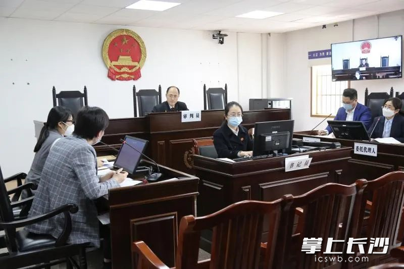 庭审现场。岳麓法院供图