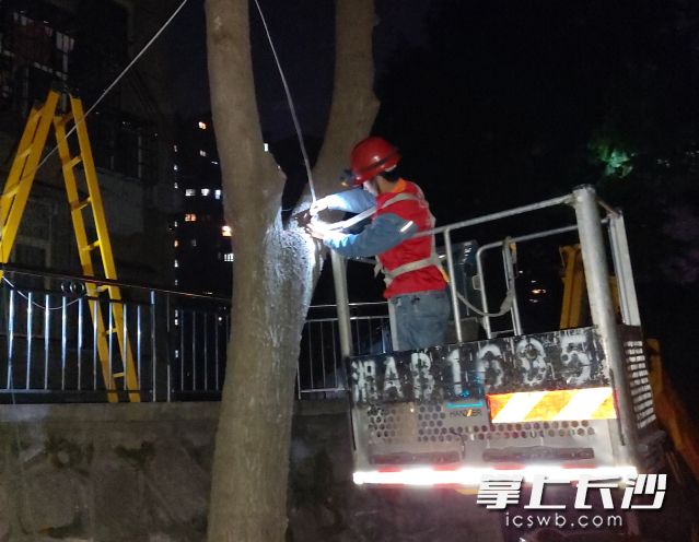 国网长沙供电公司路灯所电力专家连夜修理英才园社区的路灯。岳红娥 摄