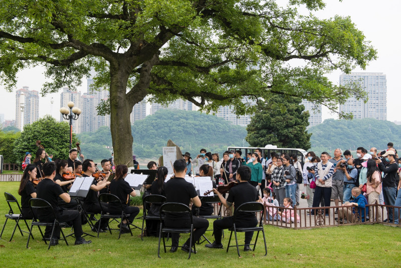 5月1日上午，2020年长沙市“百村千场文化进万家”文艺演出进景区夏之恋·橘子洲假日音乐会在橘子洲头景区上演，自由开放的户外音乐会展现出的特殊魅力让人流连忘返。邹麟 摄
