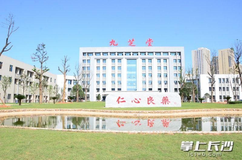 九芝堂在麓谷开启了第三次“扩容”。通讯员 周颖 供图（资料图片）