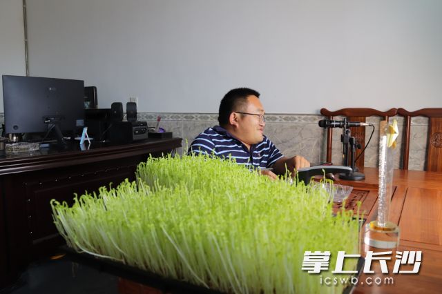 朱柱正在直播卖菜。