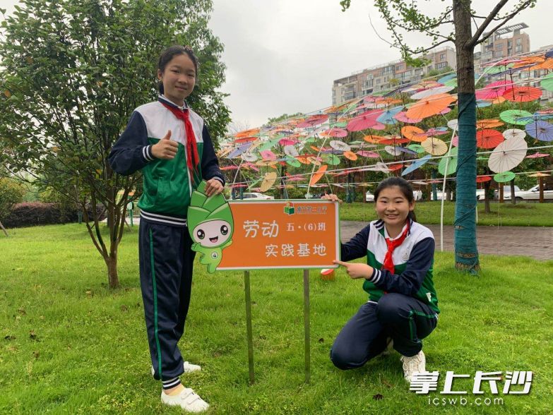开福区新竹第二小学在六一节前为孩子们送去了劳动实践基地这份大礼。