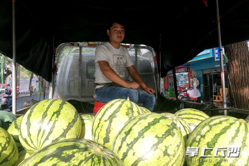 卖西瓜很辛苦，但为了家人步书典选择吃这份苦。长沙晚报全媒体记者 刘琦 摄
