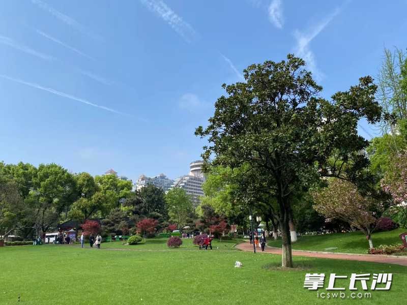 晓园的一角。