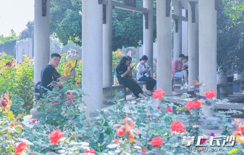 游客们坐在连廊里纳凉。