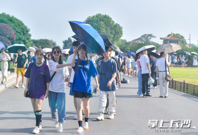 众多游客来到橘子洲上游玩。