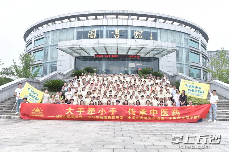 今日，来自诺贝尔摇篮教育集团的百余名小学生在20多名大学生志愿者的陪同下走进湖南中医药大学，来了一场“大手牵小手，传承中医药”的研学之旅。实习生 刘耕辰 全媒体记者 石祯专 摄