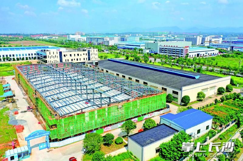 目前，湖南海洋胶囊有限公司二期厂房主体框架已基本搭建好。长沙晚报通讯员 张迪 摄