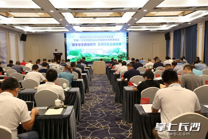 为期两天的会议重点审查了关于个人消费类烟花产品的新标准。长沙晚报通讯员 徐移波 摄
