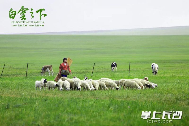 《白云之下》剧照