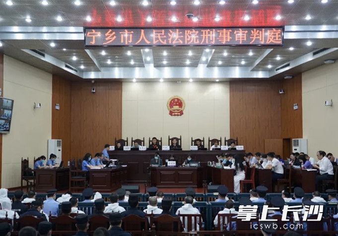 庭审现场。宁乡法院供图