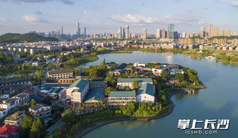 蓝天白云下的后湖美如画。图片均为长沙晚报全媒体记者 邹麟 摄