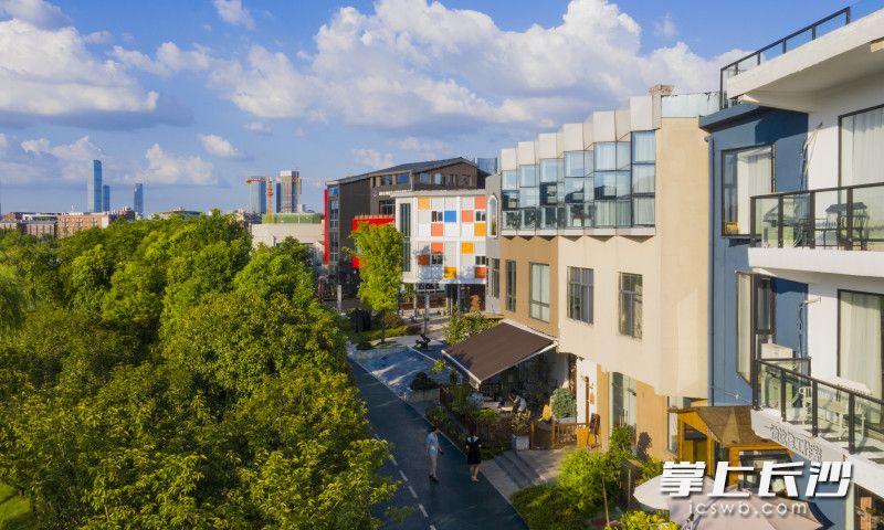 色彩亮丽的文艺小店成为游客们打卡拍照的最佳选择。