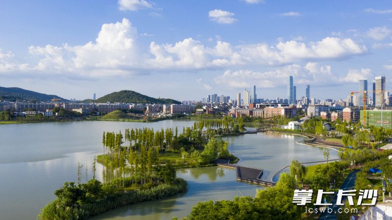 新罗棋布的湖中栈道。