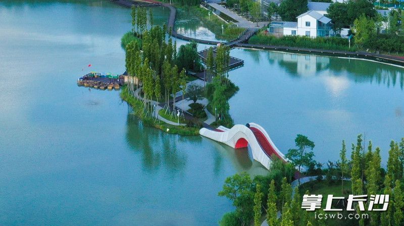 湖中心的小岛满目绿荫。