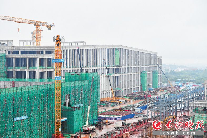 长沙惠科第8.6代超高清新型显示器件生产线项目已进入点亮投产前的最后冲刺，3500名技术员和工人正日夜奋战，为接下来的设备搬入和调试做准备。　　长沙晚报全媒体记者 王志伟 摄