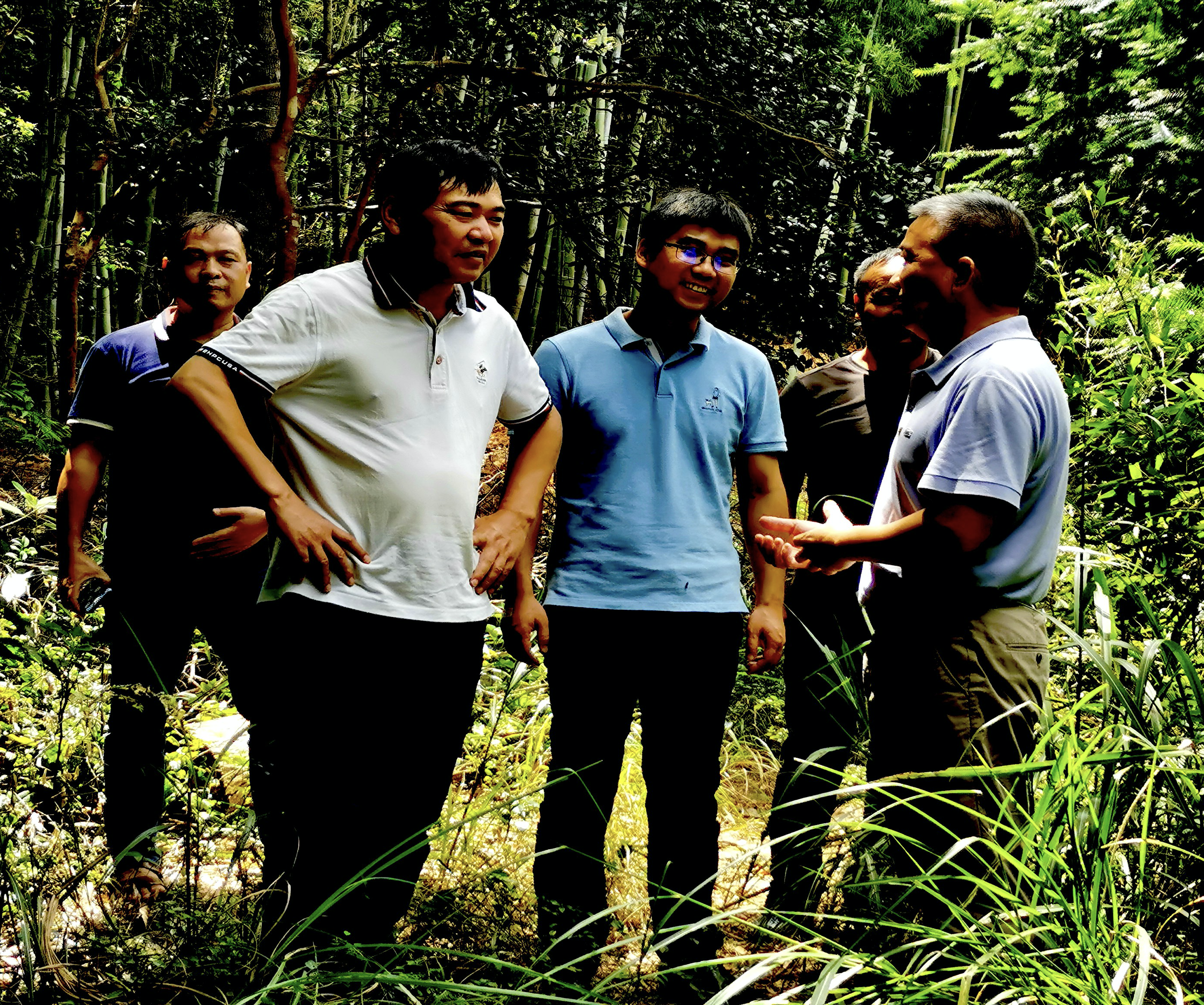  调研组一行来到陈桥村标准竹笋示范基地，详细了解该村产业扶贫项目发展情况。