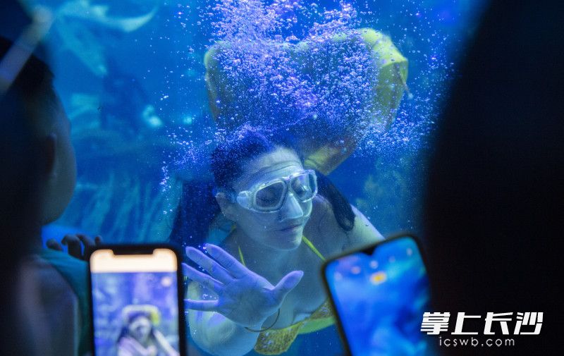 “美人鱼”隔着玻璃与孩子们互动。