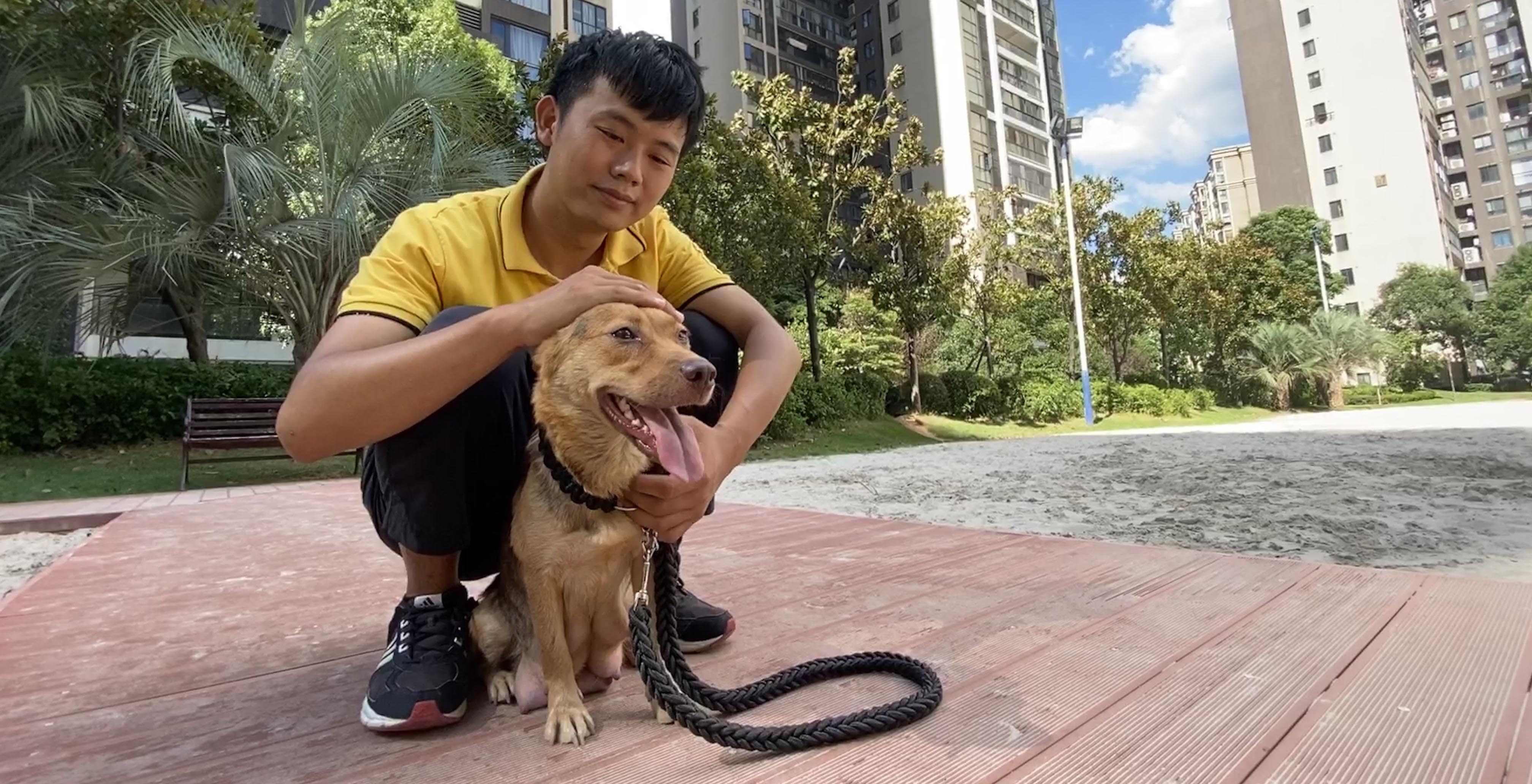 贺佳奇与“易购”在小区玩耍。