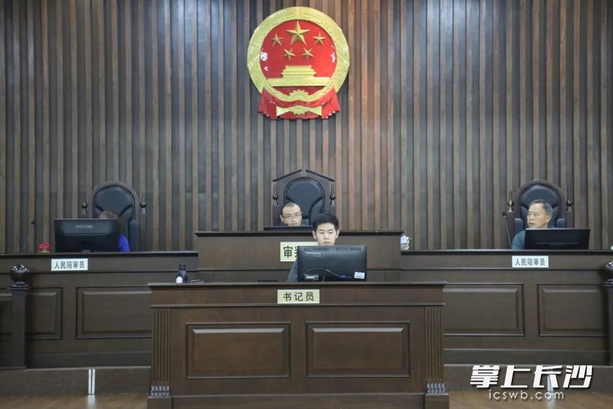庭审现场。均为天心法院供图