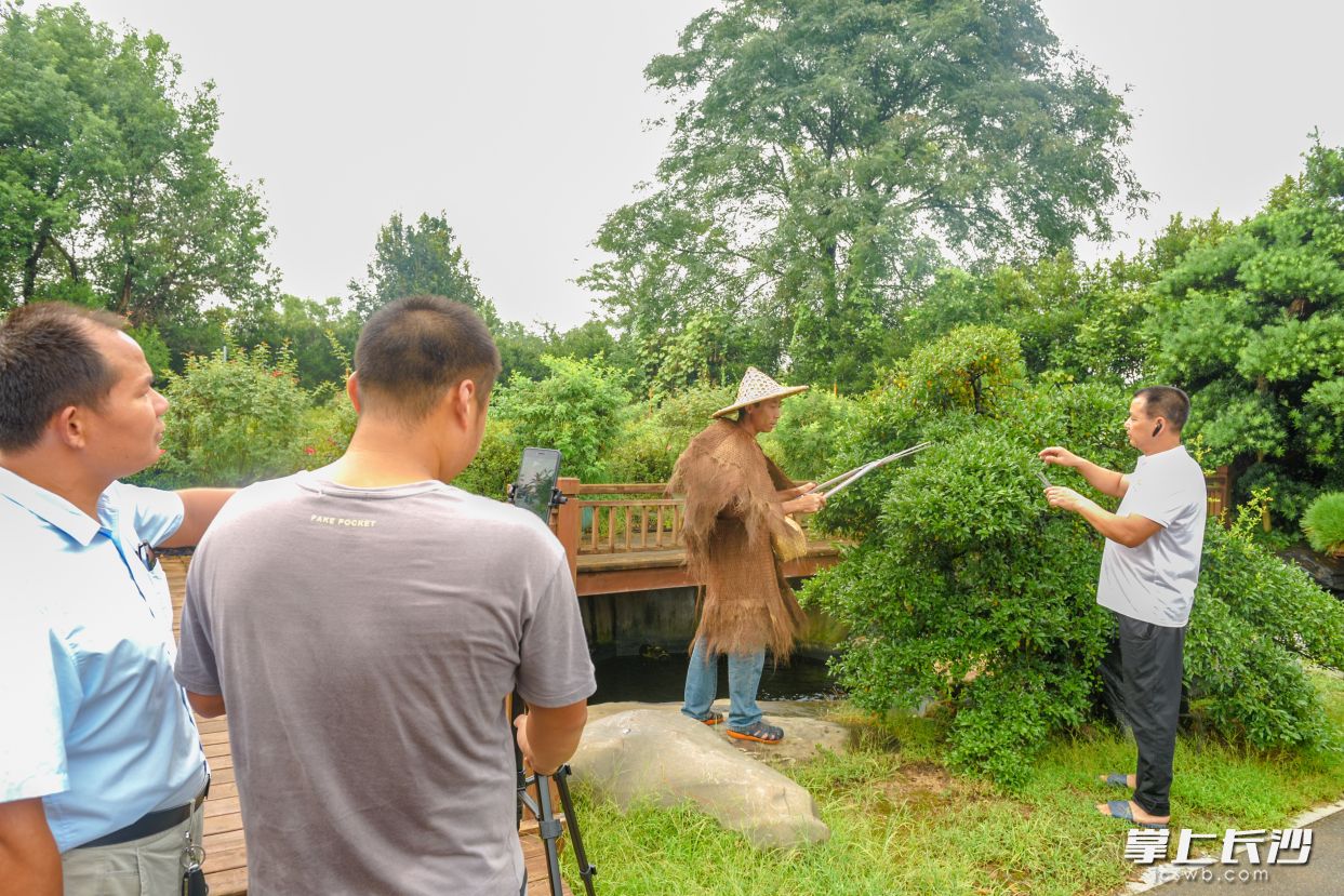 渡头村公益短视频团队在当地花木基地取景拍摄。长沙晚报全媒体记者 陈飞 摄