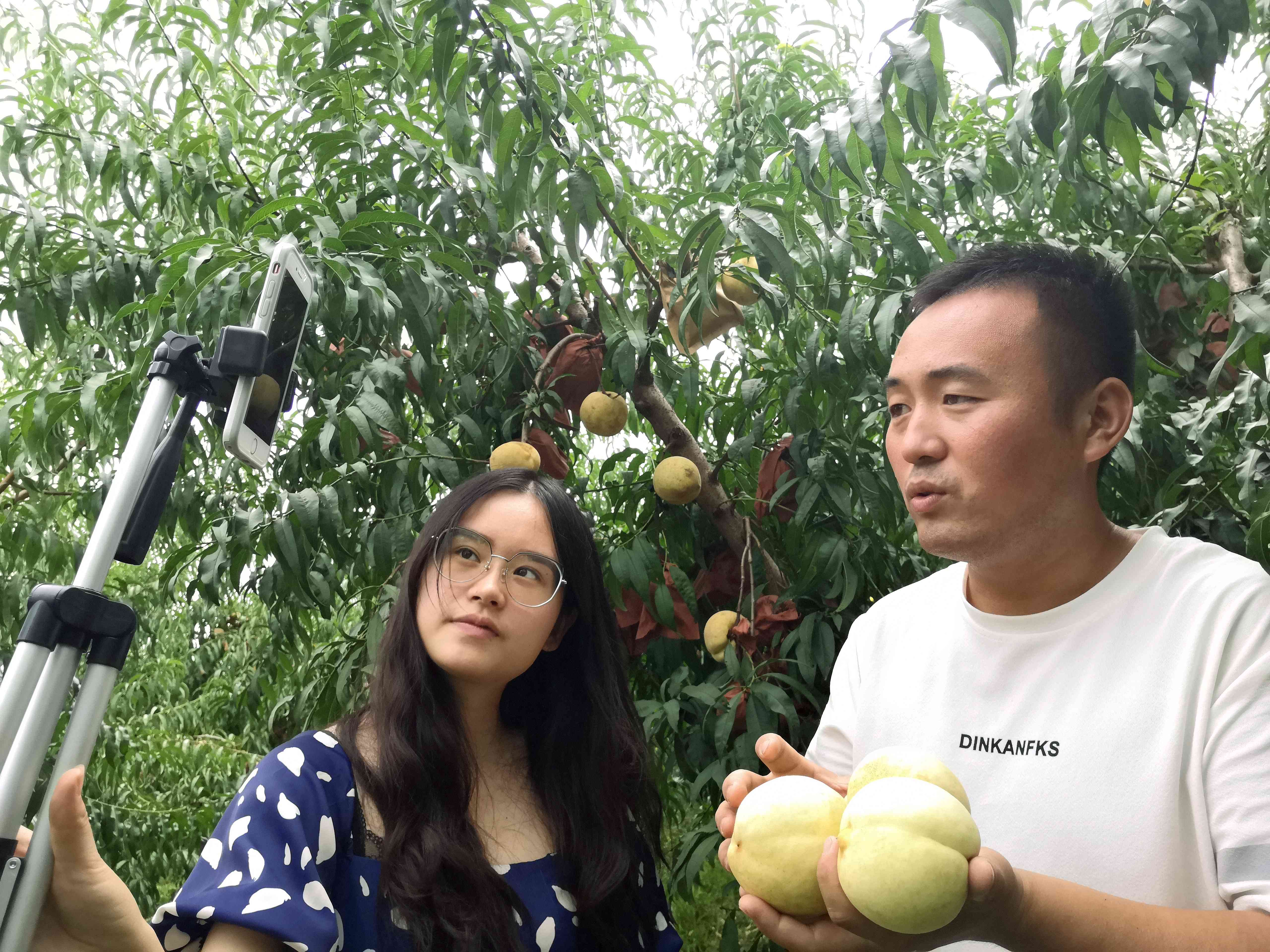 9月14日，钟疏影（左）来到张强的果园为他的冬桃直插带货。长沙晚报全媒体记者 贺文兵 摄