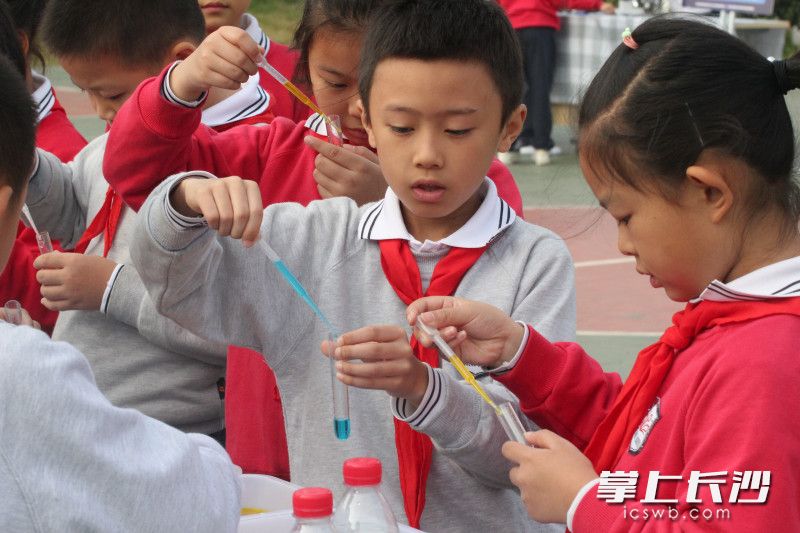 马坡岭小学学生正在参加自己喜欢的科技体验活动。所有照片由学校提供。