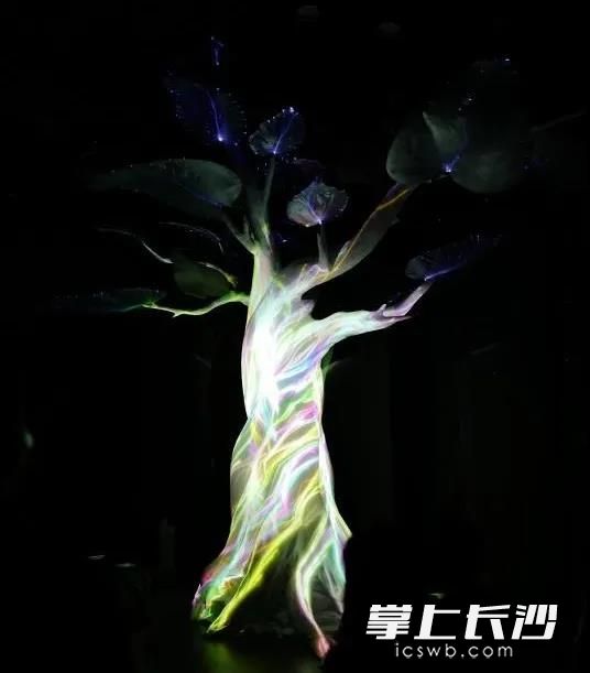 体验馆中的生命之树。