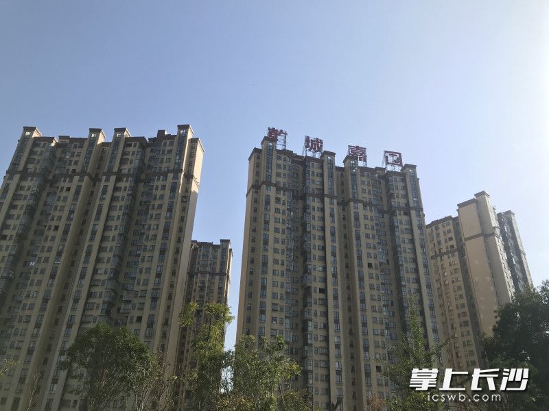 从小区隔壁湖南革命陵园烈士广场能清楚看见，广告牌字正在掉落。图片均为全媒体记者 张洋子 摄