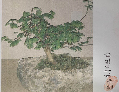 偷盗的盆栽。均为开福法院供图