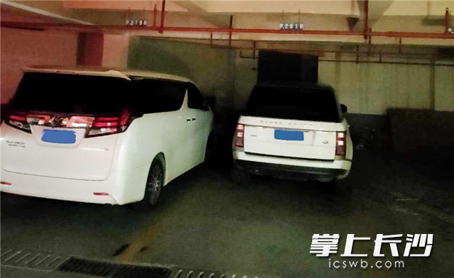 被执行人日常驾驶的豪车。
