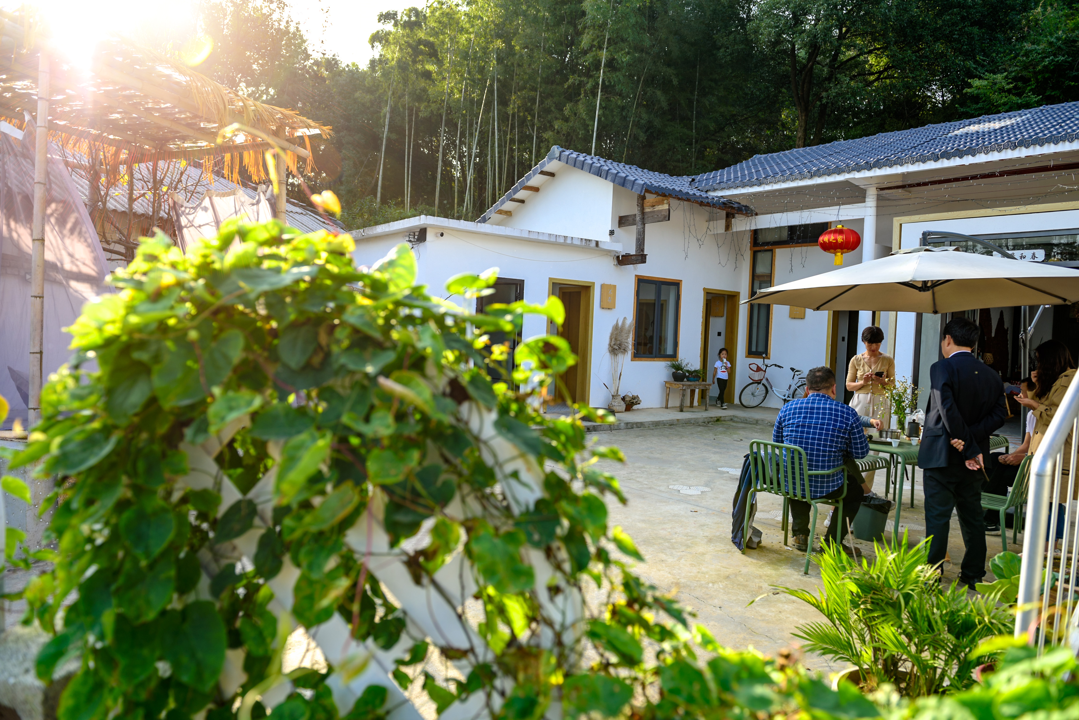 去野民宿里，远道而来的游客享受着九峰山村不一样的田园风光。 长沙晚报全媒体记者 陈飞摄