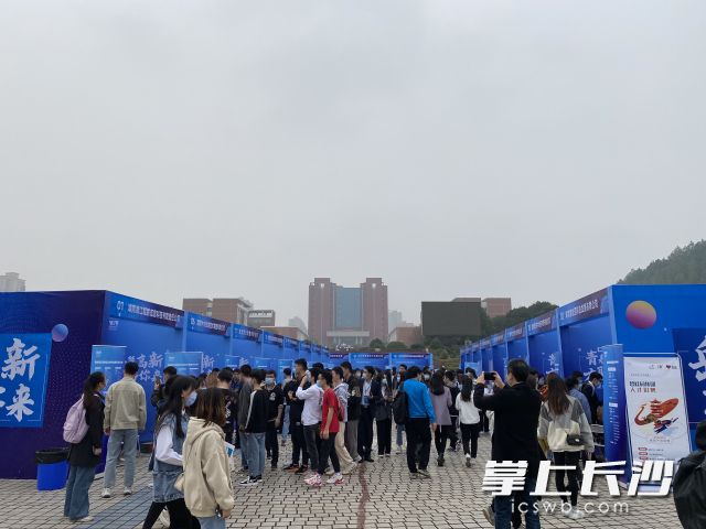 人才对接会现场。均为通讯员 陈卫 供图