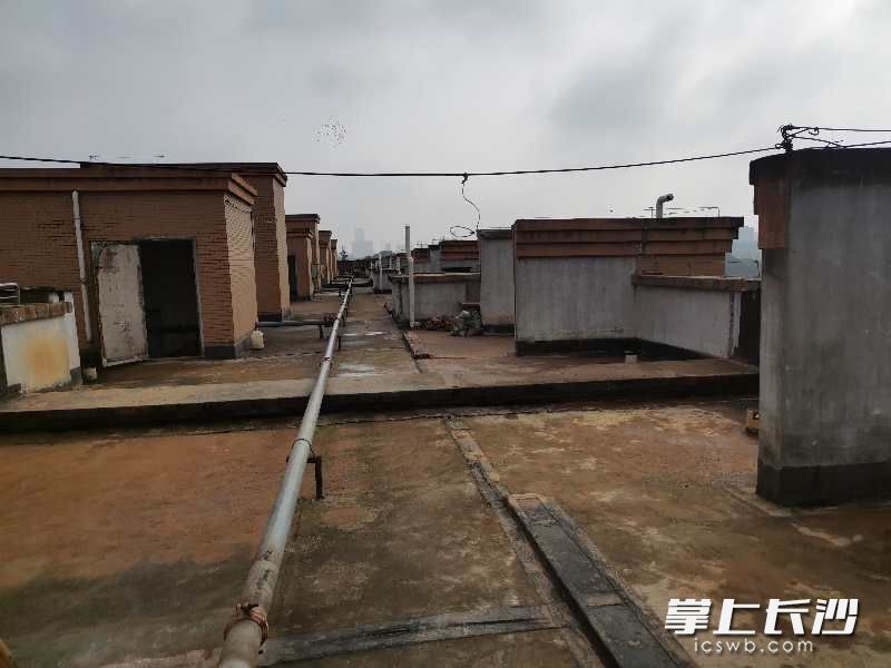 整治结束的楼顶，社区还将进行全面清洗和消毒。